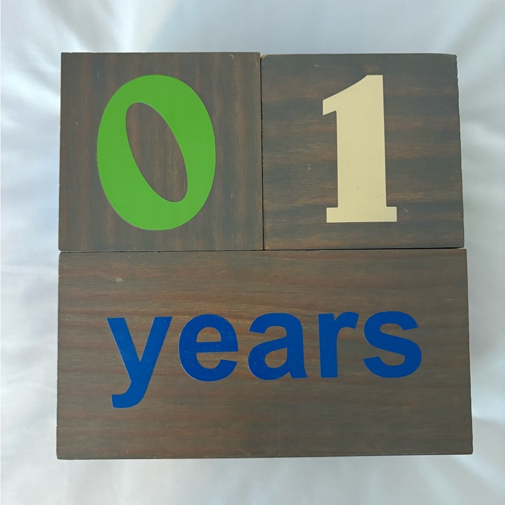 Baby Milestone Blocks